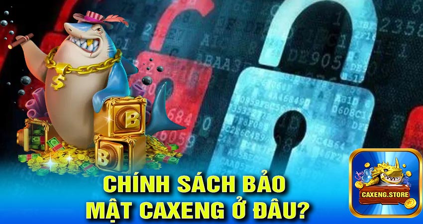 Khách hàng tìm thấy chính sách bảo mật caxeng ở đâu?