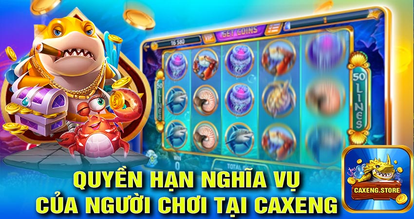 Quyền hạn và nghĩa vụ người chơi tự bảo mật thông tin